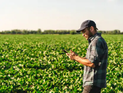 Farmer standing in field looking at phone